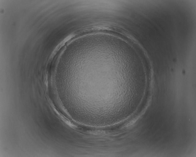 X0000052580785200507011245
