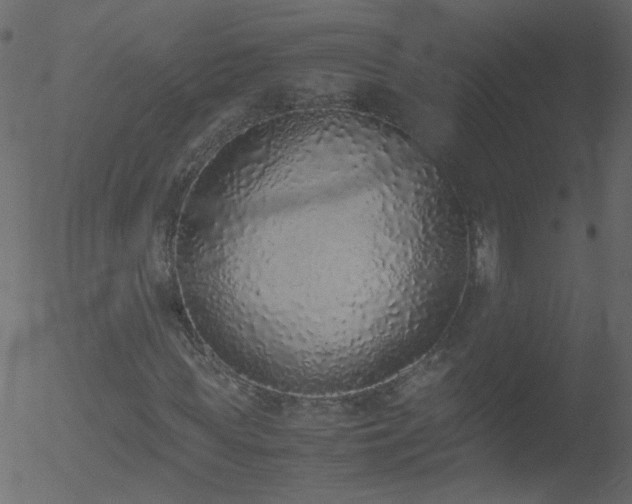 X0000052580819200507011243