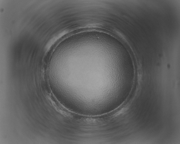 X0000052580827200507011244