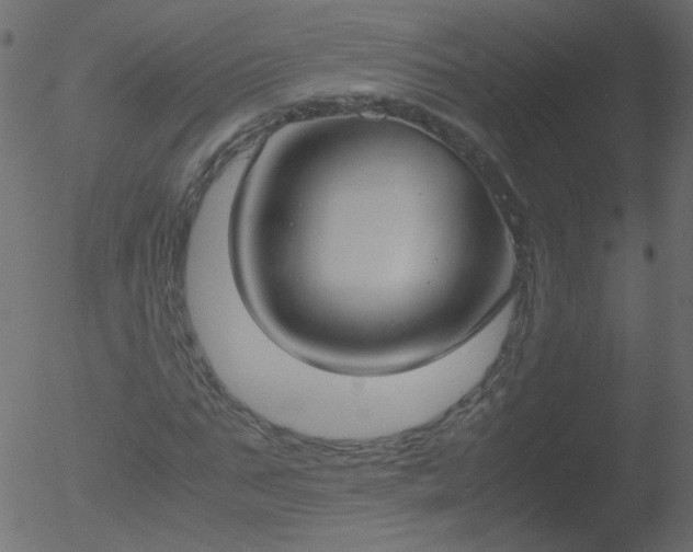 X0000052580871200507011243