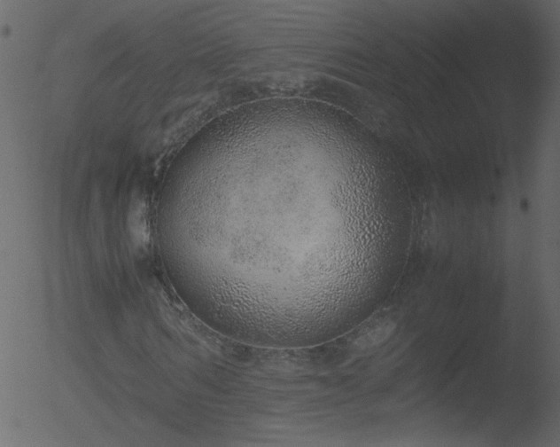 X0000052580962200507011242