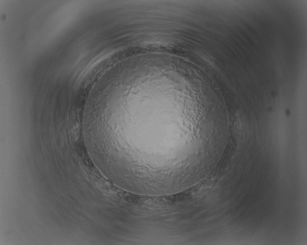 X0000052581015200507011240
