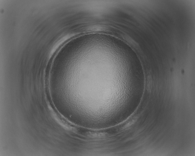 X0000052581039200507011241