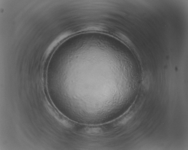 X0000052581043200507011241