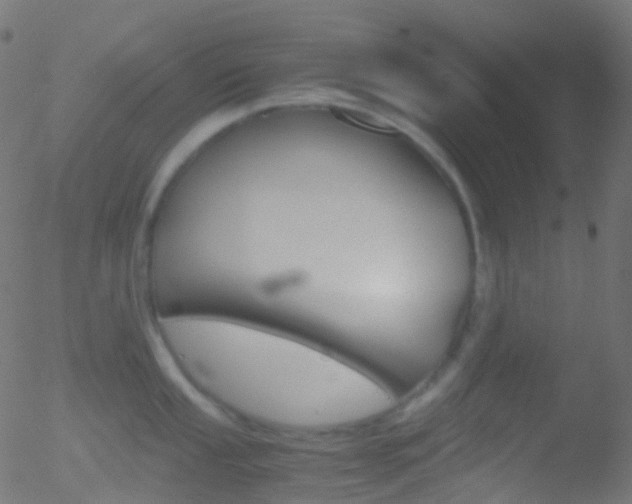 X0000052581053200507011241