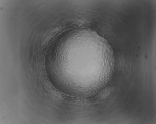 X0000052581105200507011239
