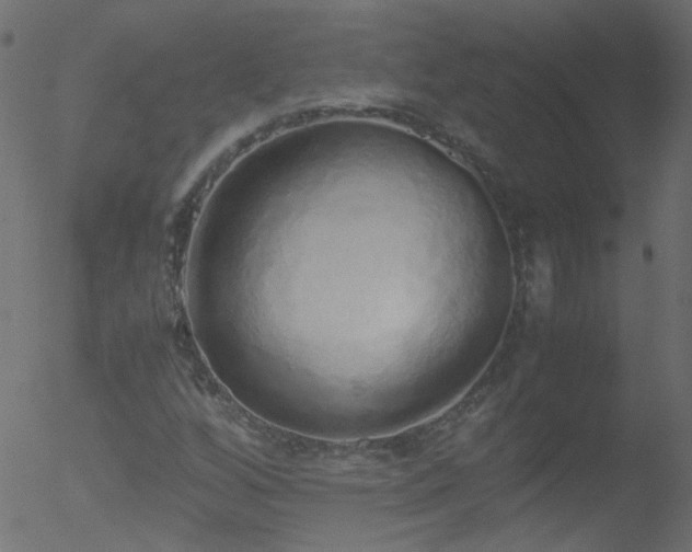 X0000052581256200507011237