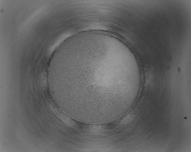 X0000052581266200507011237