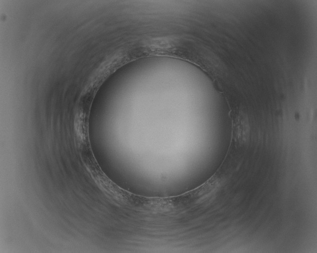 X0000052581346200507011236