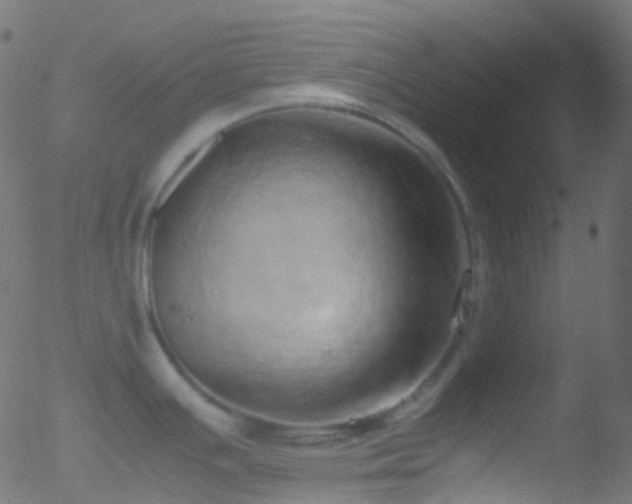 X0000052581391200507011235