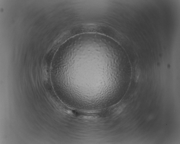 X0000052581394200507011234