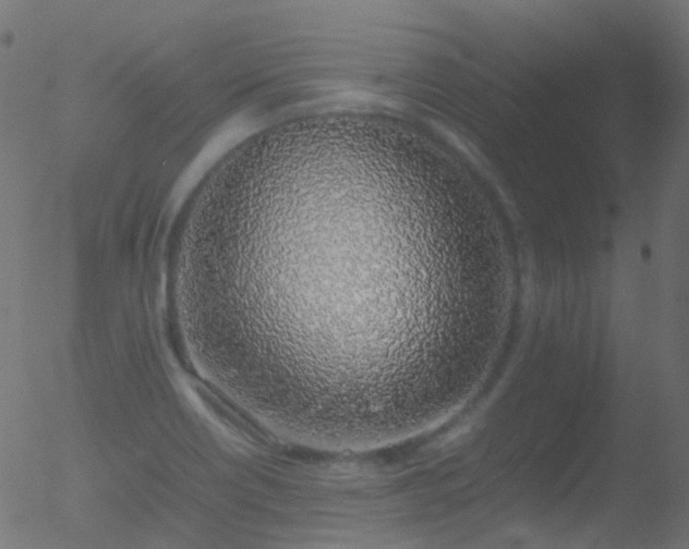 X0000052581418200507011234
