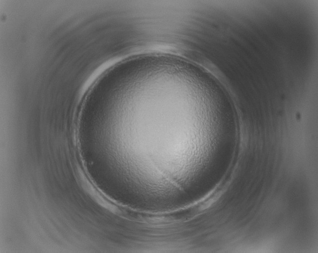 X0000052581436200507011235