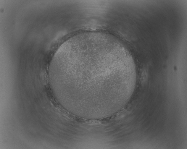 X0000052581446200507011234