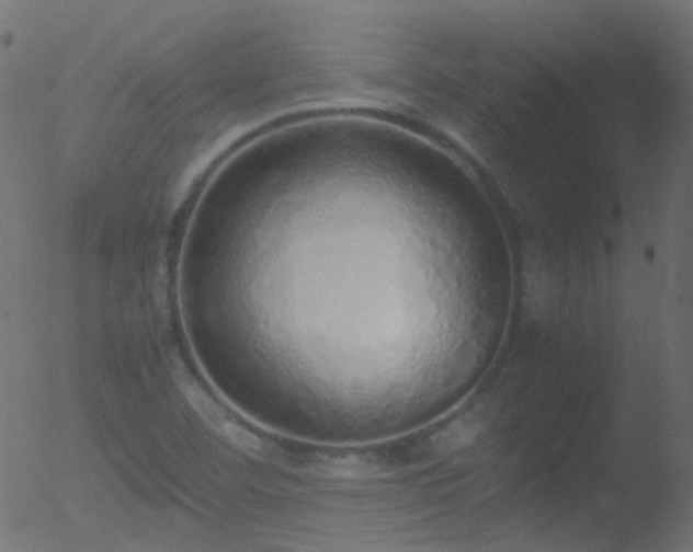 X0000052581460200507011234