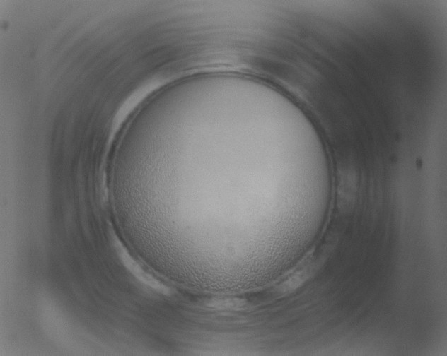 X0000052581466200507011234