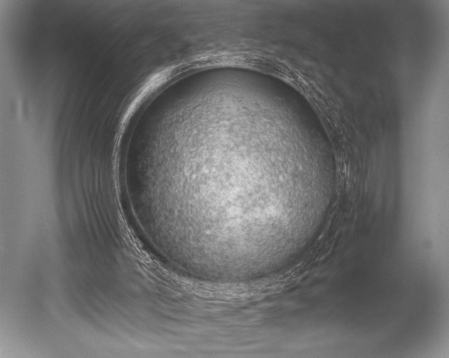 X0000052580006200507081740
