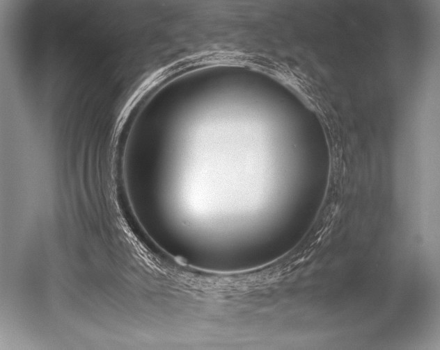 X0000052580007200507081740