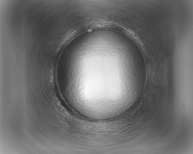X0000052580010200507081740