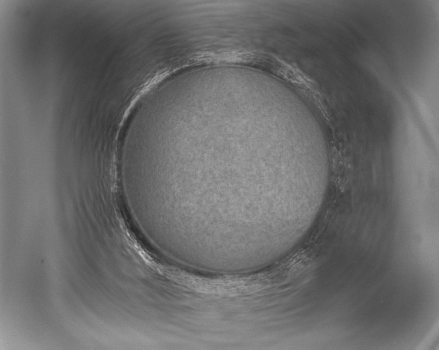 X0000052580012200507081740
