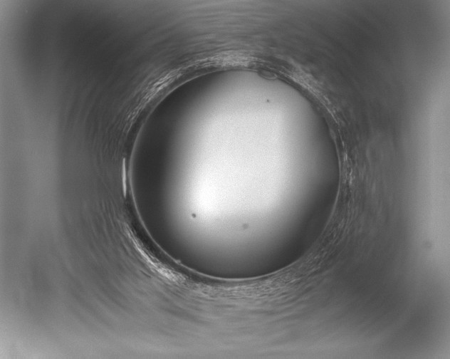X0000052580013200507081740