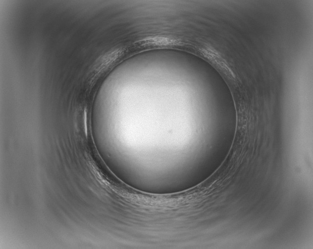 X0000052580014200507081740