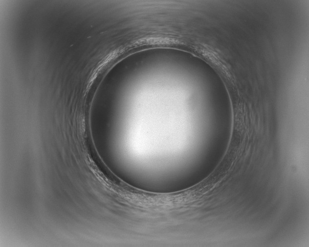 X0000052580015200507081740