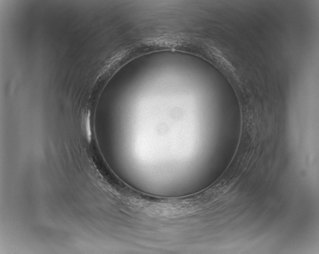 X0000052580020200507081740