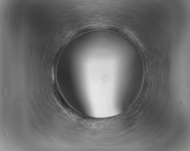 X0000052580021200507081740