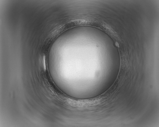 X0000052580022200507081740