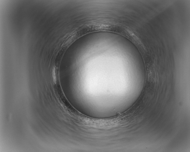 X0000052580026200507081740