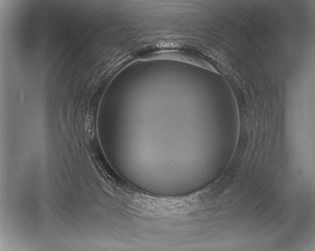 X0000052580031200507081739