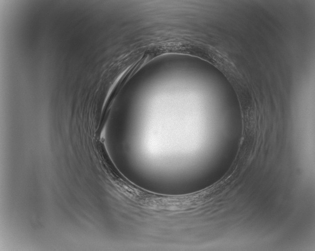 X0000052580033200507081739