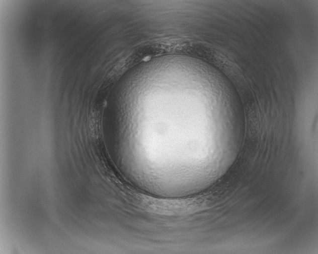 X0000052580034200507081739