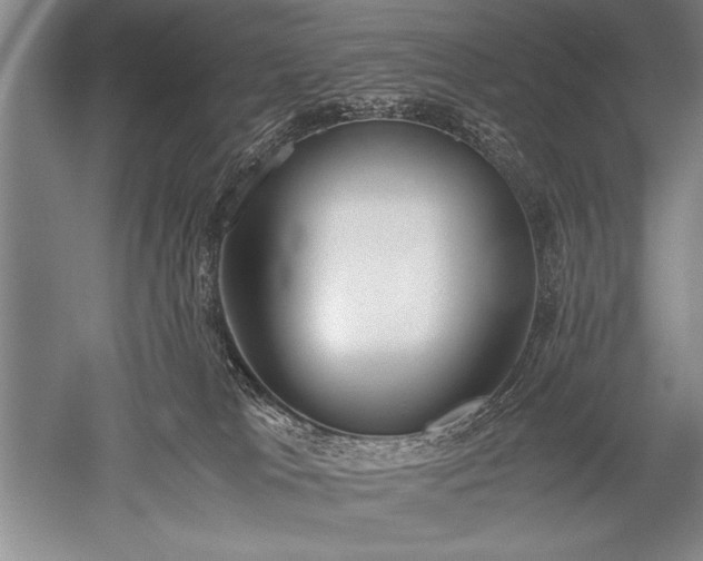 X0000052580037200507081739