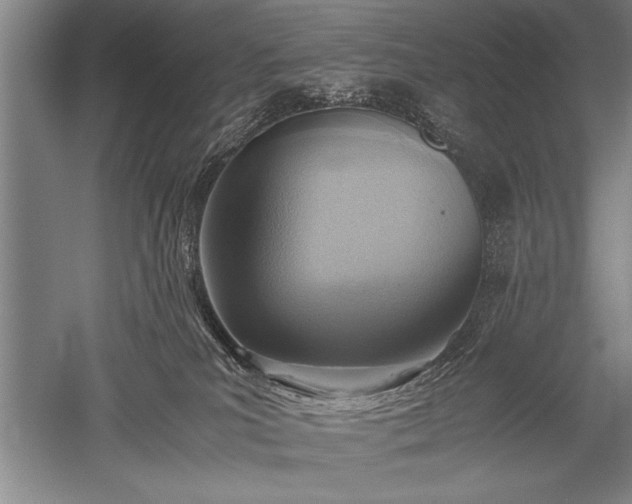 X0000052580039200507081739