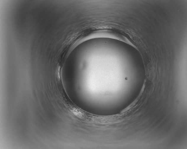 X0000052580041200507081739