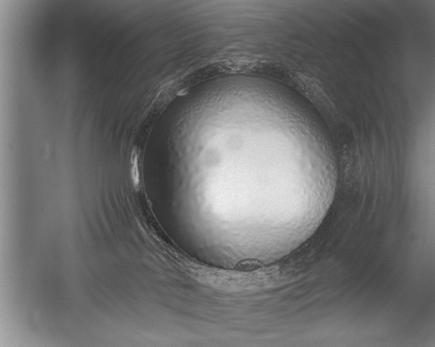 X0000052580042200507081739