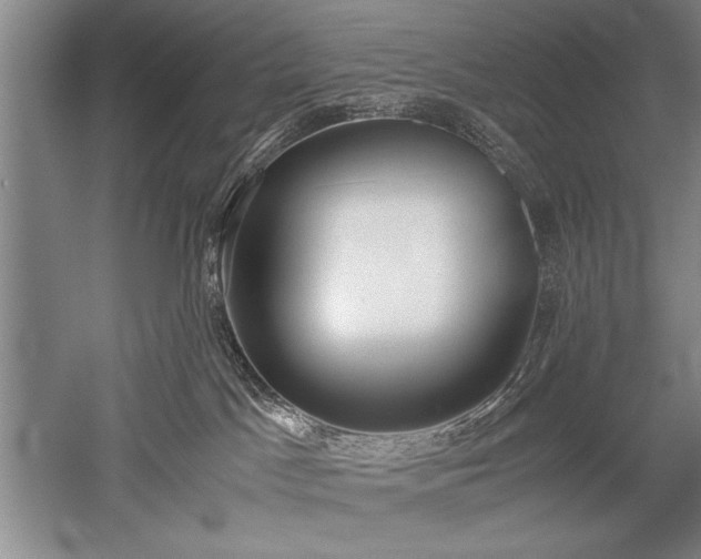 X0000052580045200507081739
