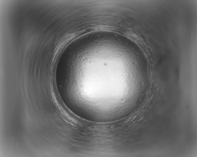 X0000052580049200507081738