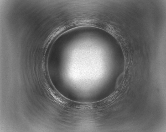 X0000052580050200507081738