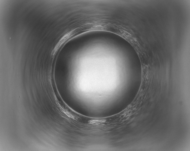 X0000052580051200507081738