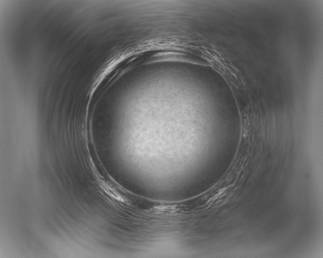 X0000052580052200507081738