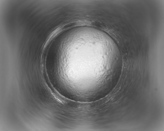 X0000052580053200507081738