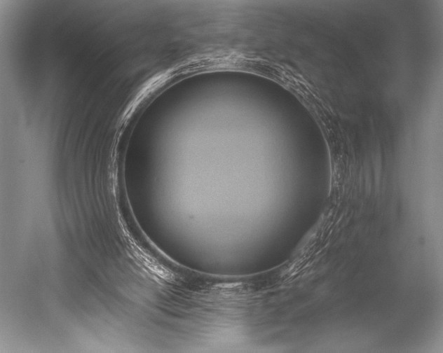 X0000052580054200507081738