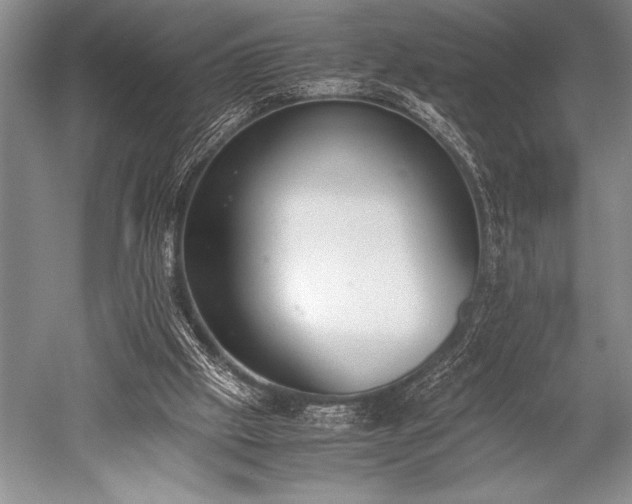 X0000052580057200507081739