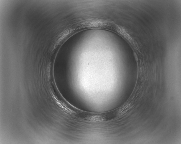 X0000052580058200507081739