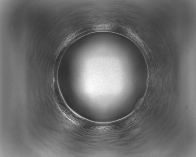 X0000052580059200507081739
