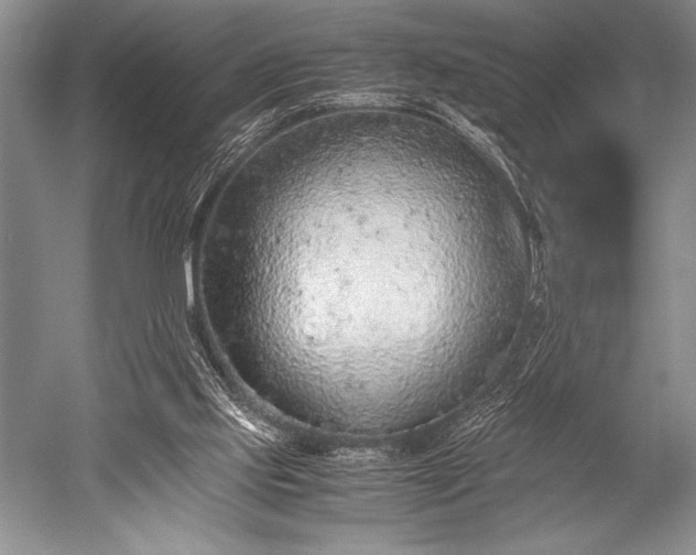 X0000052580061200507081739