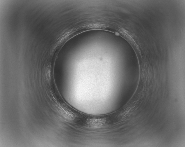 X0000052580063200507081739